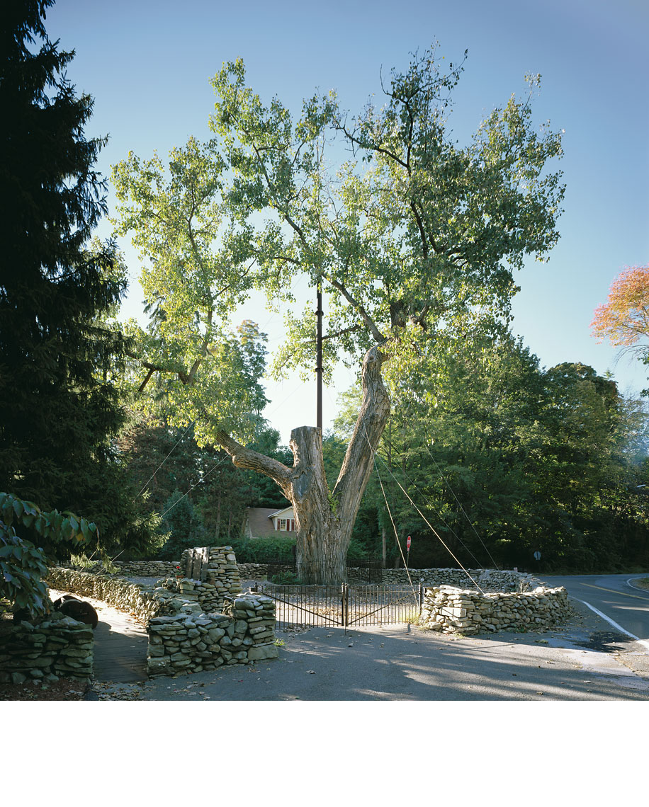 Balmville-3.8.jpg