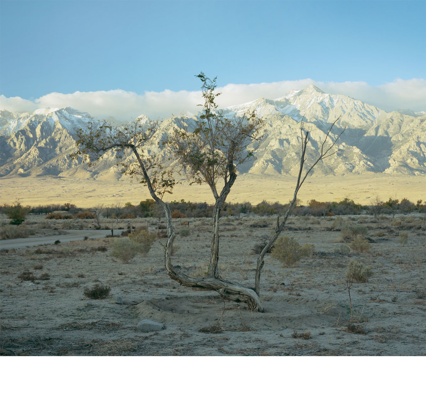 Manzanar_mountain-1.0a.jpg